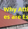 Why Attic Baffles are Essential for Proper Air Intake